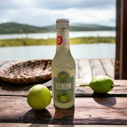 �kologisk lime sodavand