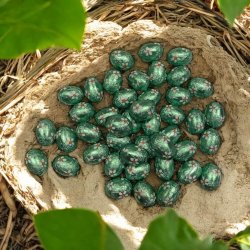 Sm� p�ske�g med chokolade og karamel - 250g.