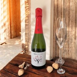 Vidadelsur Cava BRUT 11,5%