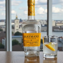 Hayman�s Exotic Citrus Gin (41,1%)