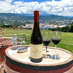 Montefiore Moscato Rosso 5,5% VOL 