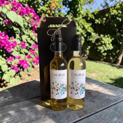 Vingave: Elegant sort vin�ske med 2 flasker Camina hvidvin